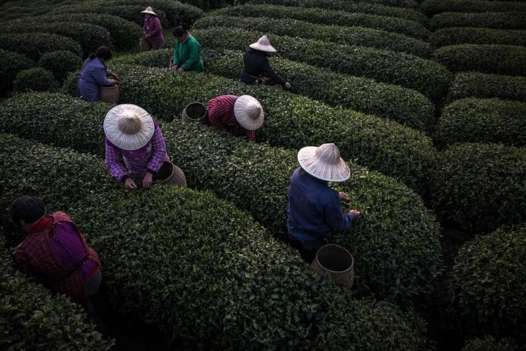 China_Roman_Pilipey_epa7