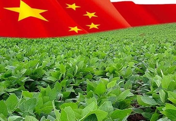 Украина и Китай подписали Программу инвестиционного сотрудничества в АПК