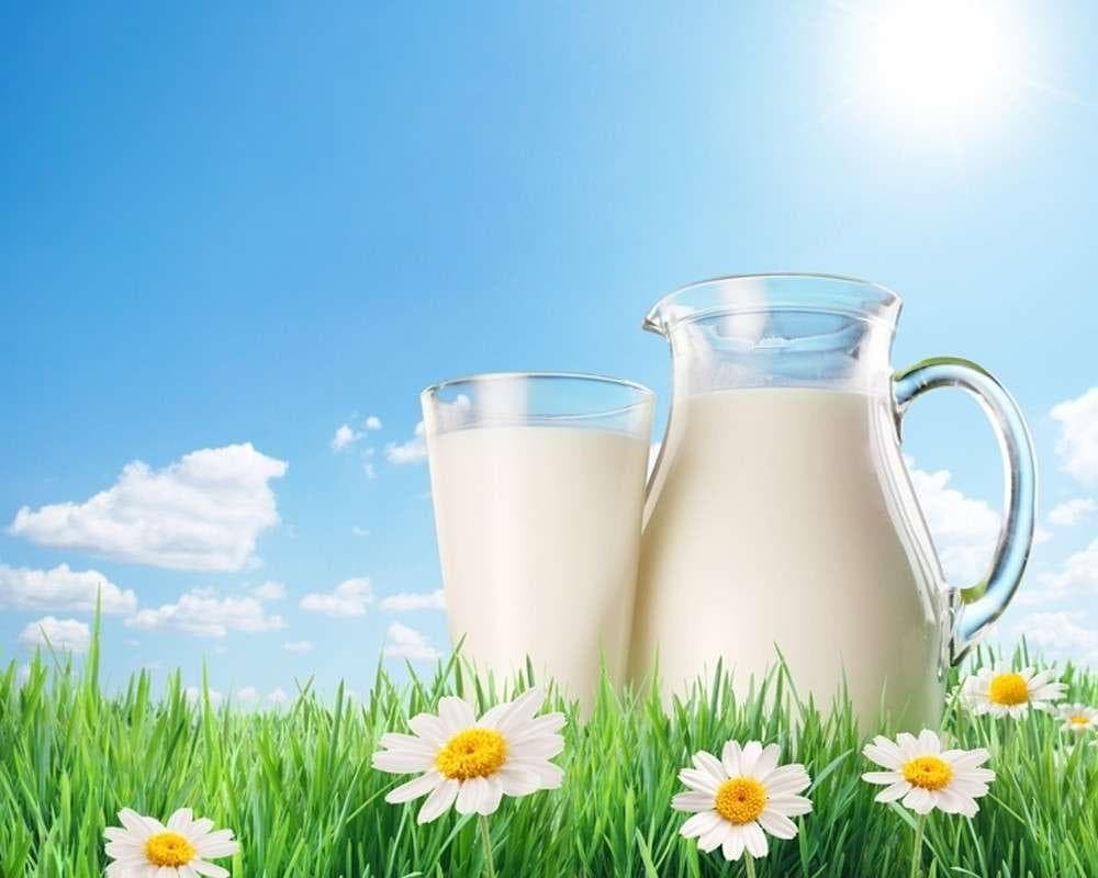 Украина резко увеличила экспорт молокопродуктов: доходы от экспорта превысили $140 млн