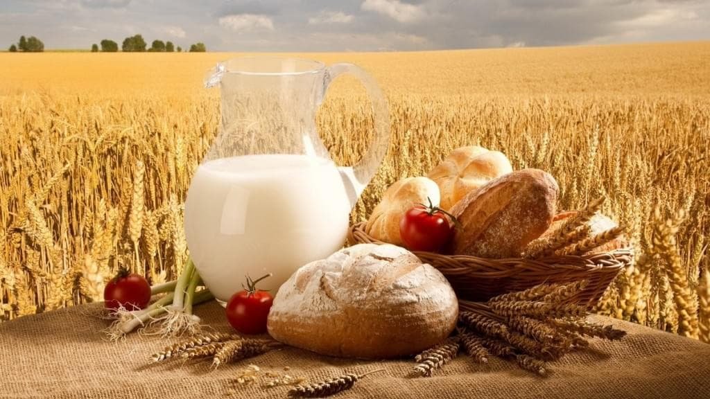 В январе-марте 2017 г. Украина увеличила экспорт агропродукции на 40%