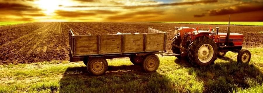 Китайская компания планирует создать в Украине сельскохозяйственный парк