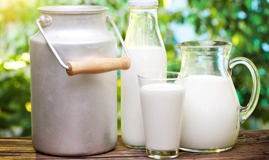 Украина существенно увеличила экспорт молокопродуктов