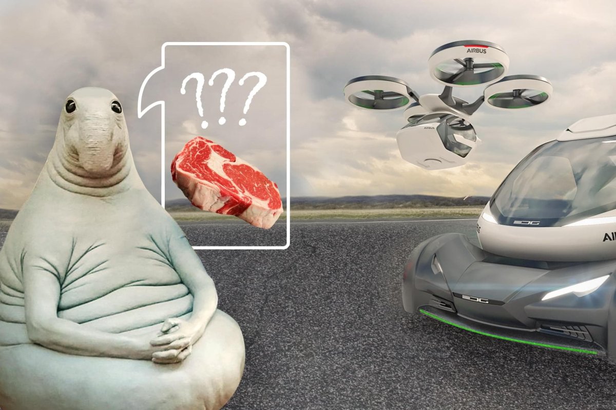 Что там у нас по говядине? Когда экспортировать начнем?