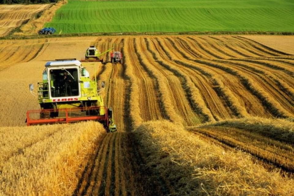 Украинские аграрии нарастили экспорт в Китай в 12 раз