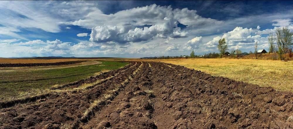 Без рынка земли Китай не будет инвестировать в украинские проекты по садоводству