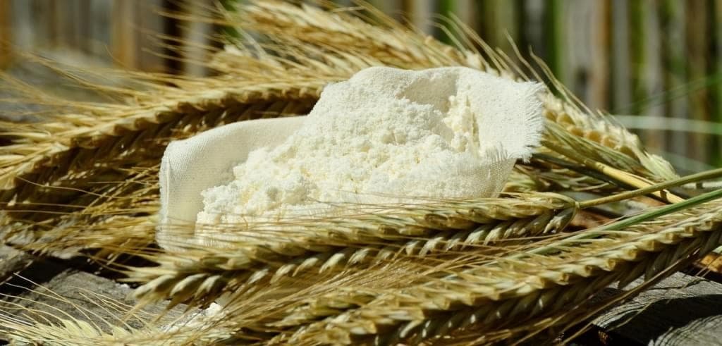 Одесский комбинат отправит за океан 6600 тонн готовой продукции