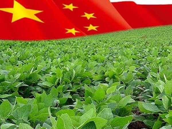 Украина и Китай подписали Программу инвестиционного сотрудничества в АПК