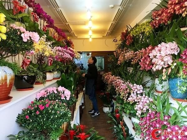 Репортер посещает рынок Lingshi, куда переехали торговцы из Caojiadu flower market