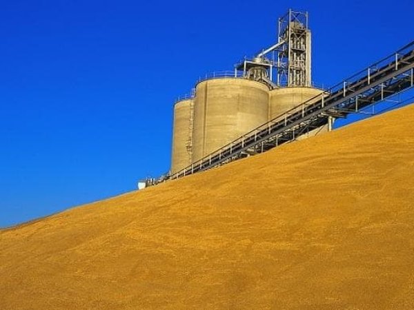 Український аграрний експорт склав майже $18 млрд в 2017 році