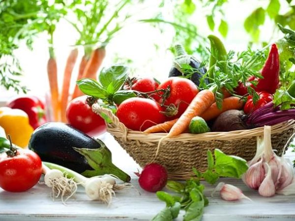 Украинские производители экспортировали в Китай продукции на $434 млн