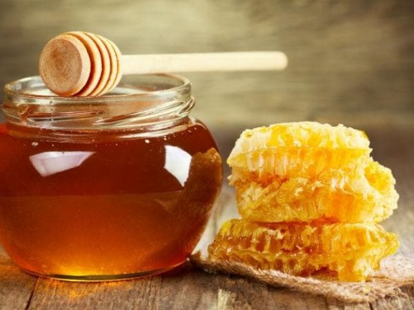 Китай заинтересован в украинском меде, мясе, молоке и других продуктах