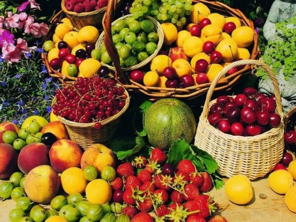 Китай: Импорт сельскохозяйственной продукции в 2017 году быстро растет