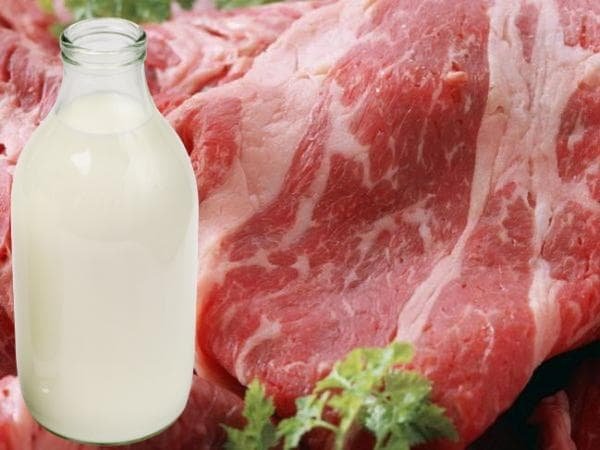 Все для Китая. А особенно мясо и молоко.