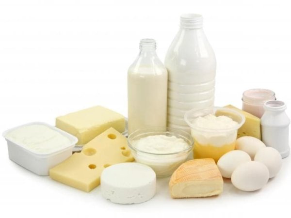 Экспорт молочных продуктов: итоги первого полугодия