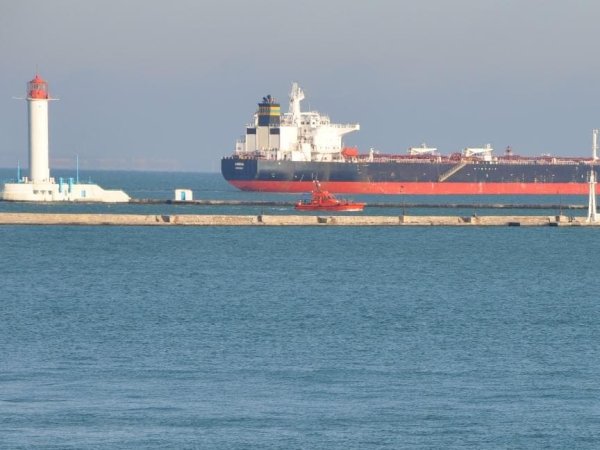 Во многом благодаря одесским портам Украина вошла в тройку экспортеров зерна