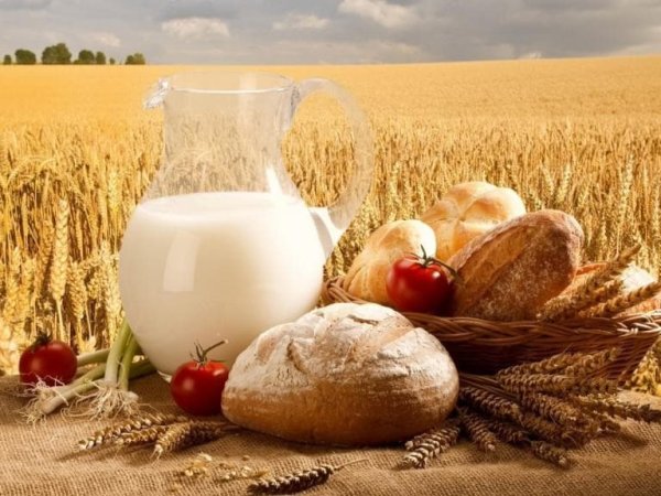 В январе-марте 2017 г. Украина увеличила экспорт агропродукции на 40%