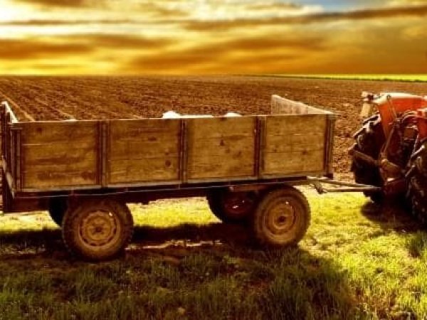 Китайская компания планирует создать в Украине сельскохозяйственный парк