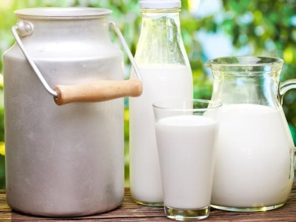 Украина существенно увеличила экспорт молокопродуктов
