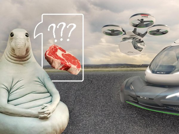 Что там у нас по говядине? Когда экспортировать начнем?