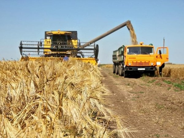Китай дал позитивную оценку сотрудничеству с ГПЗКУ по поставкам зерна