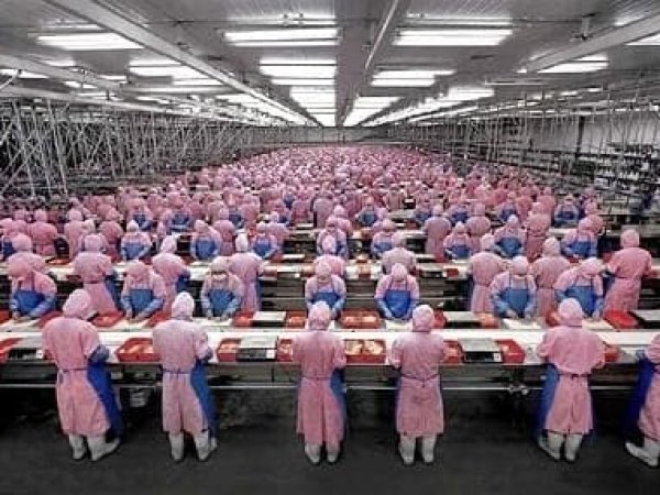 В январе китайские производители выпустили 58 моделей телефонов