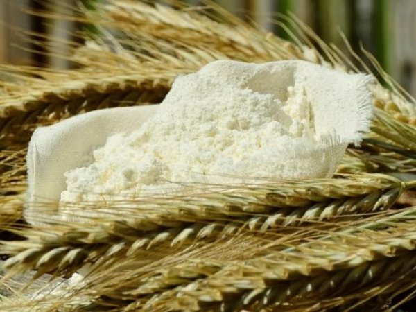 Одесский комбинат отправит за океан 6600 тонн готовой продукции